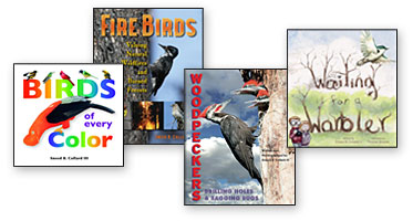 Sneed Collard additional titles